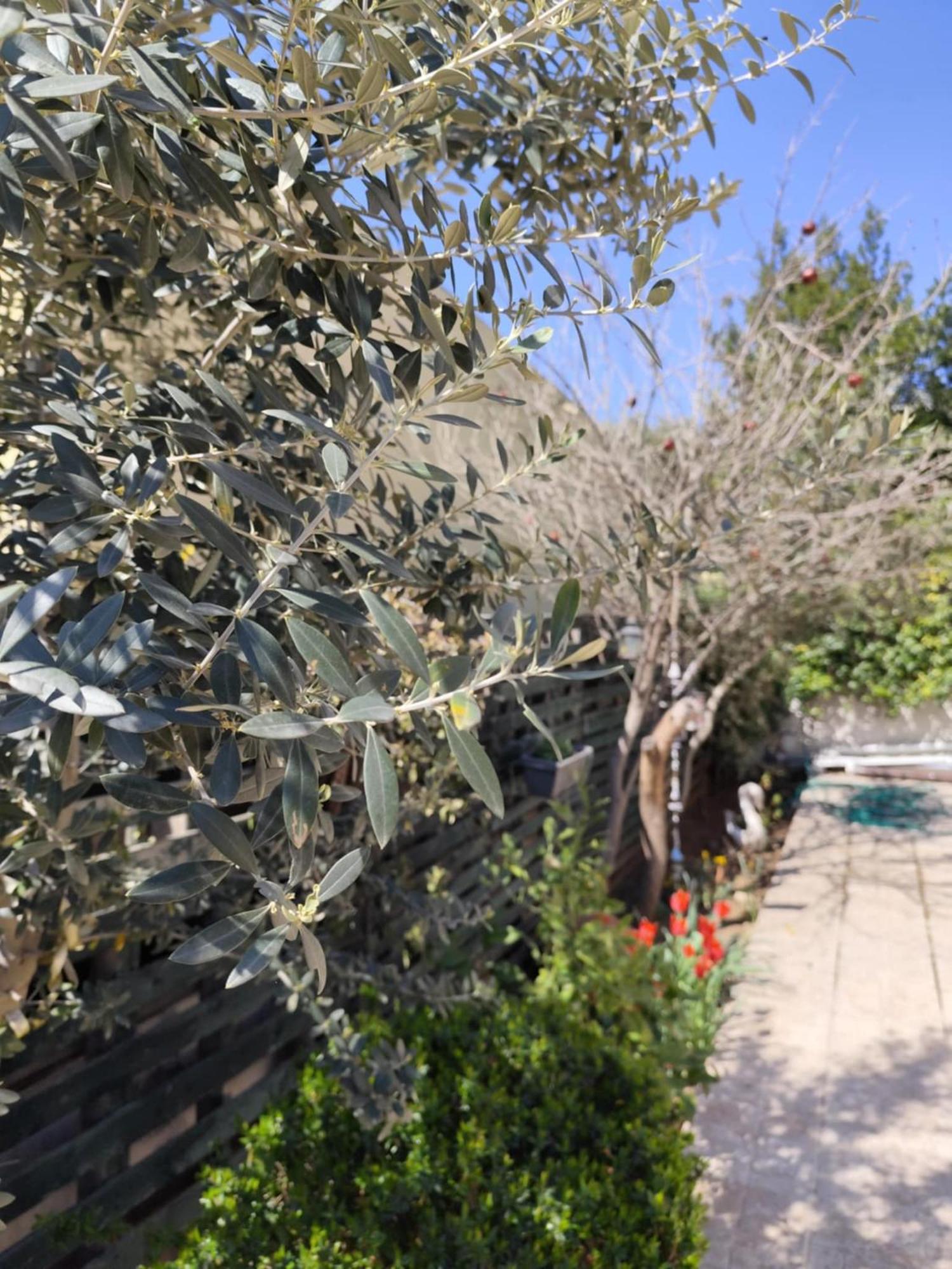 Mary'S Cozy Apartment Αλεξανδρούπολη Εξωτερικό φωτογραφία