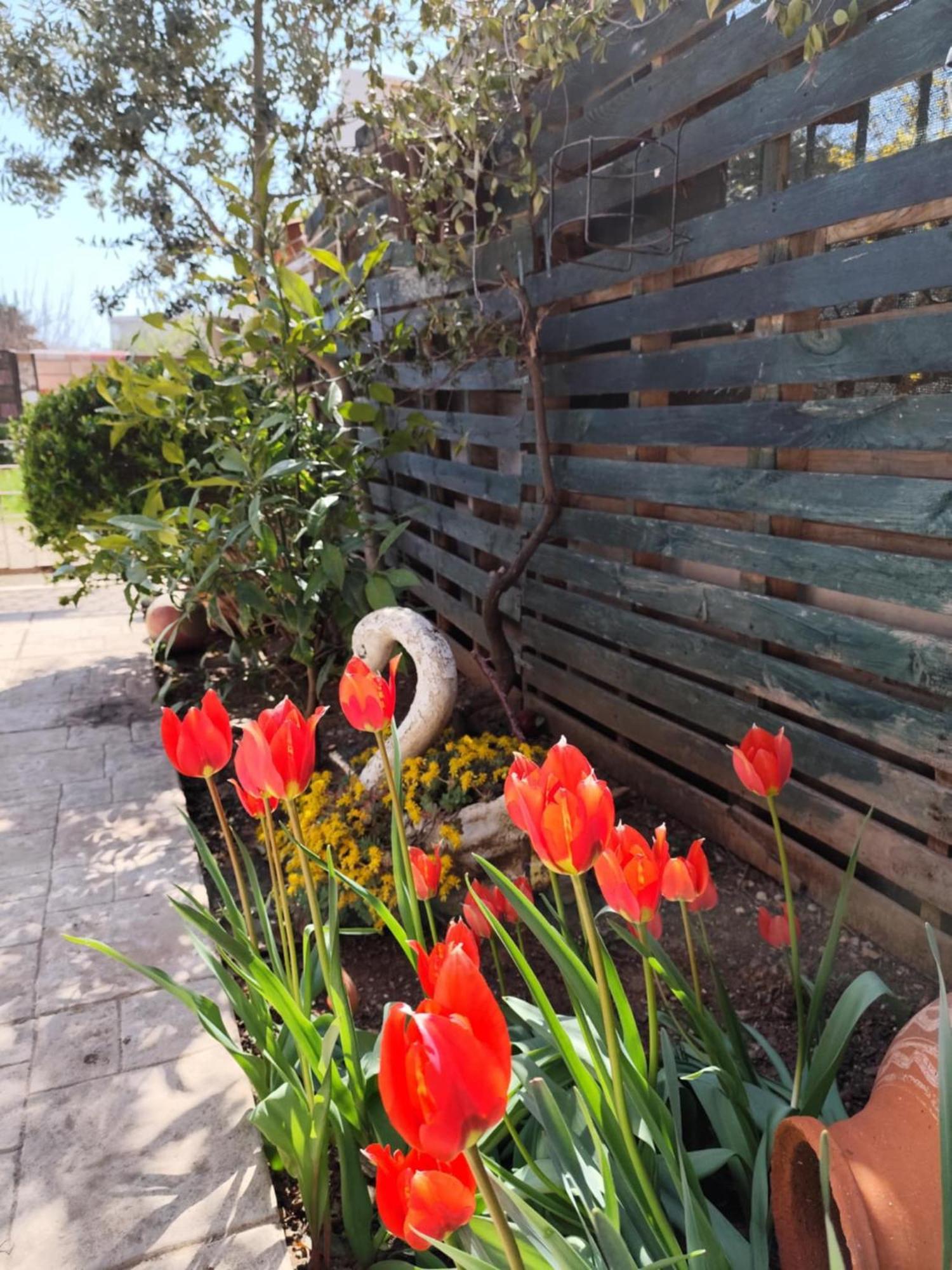 Mary'S Cozy Apartment Αλεξανδρούπολη Εξωτερικό φωτογραφία